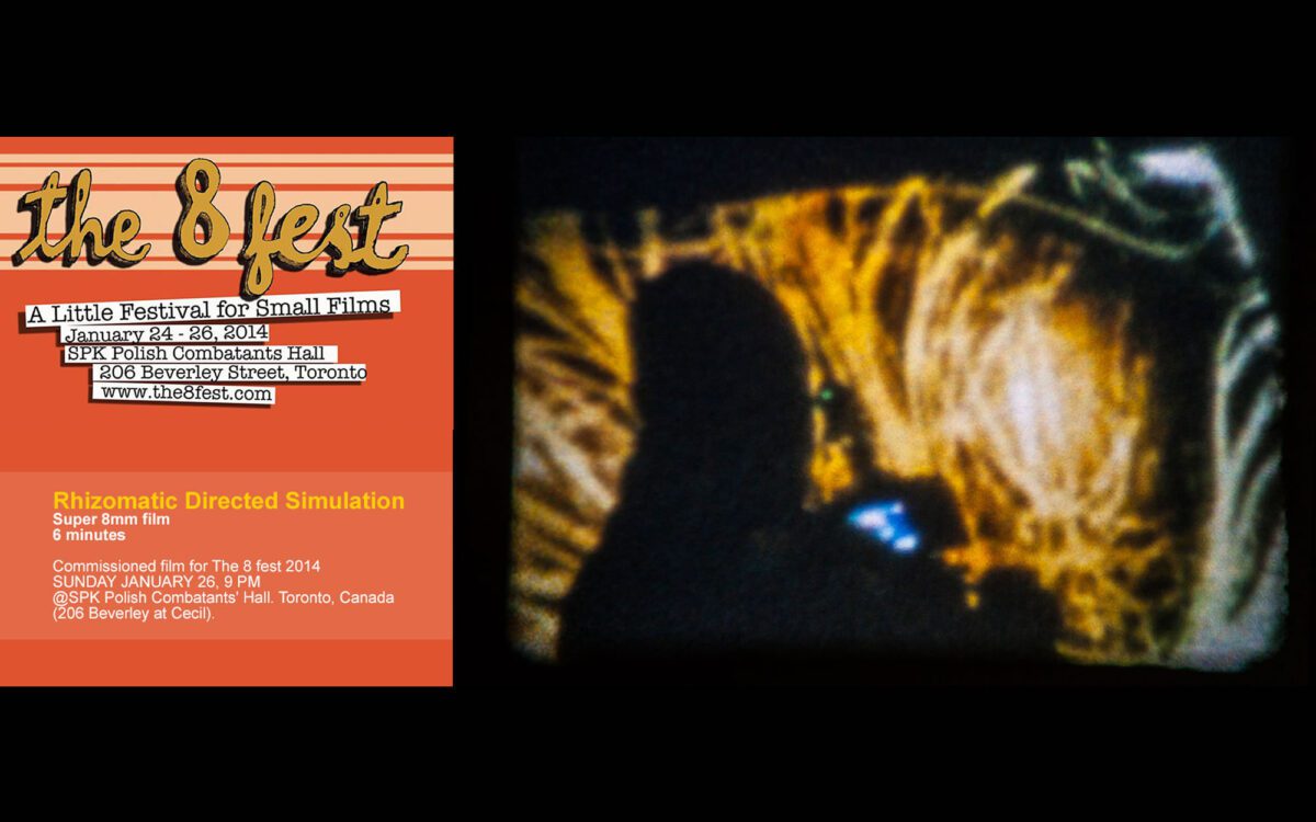 Rhizomatic Directed Simulation