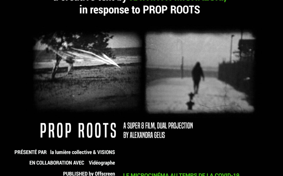 Roots of Resistance A Few Notes on Prop Roots and Thoughts from Below