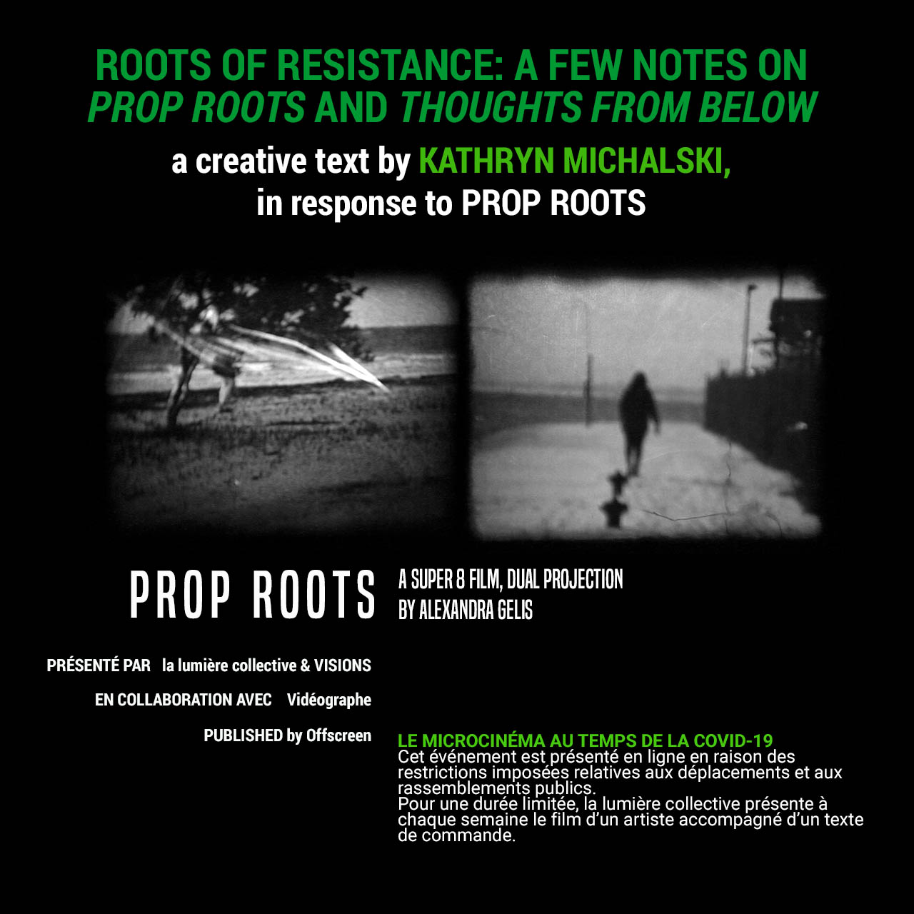 Roots of Resistance A Few Notes on Prop Roots and Thoughts from Below